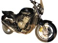HONDA_CBF_600_2008_5A.jpg