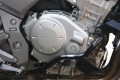 DSC05963A.jpg