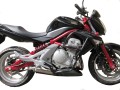 Kawasaki_ER-6n_(05-08)_2A.jpg