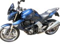 KAWASAKI_Z_1000_(07-09)_2A.jpg